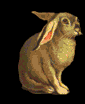 rabbitleft.gif