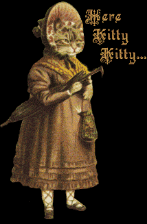 herekitty.gif