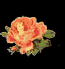 rose.gif